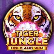 Hệ thống công bằng 11bet